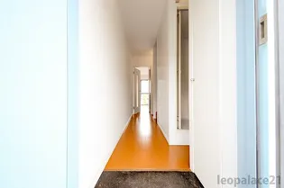 レオパレスWing【109号室】の玄関