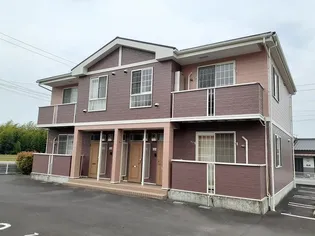 クリアネス リリーBの画像