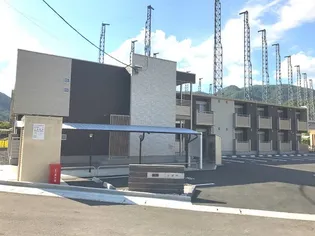 ミランダレギアの画像