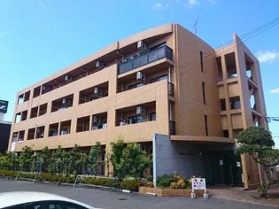 マーベラス豊成の画像