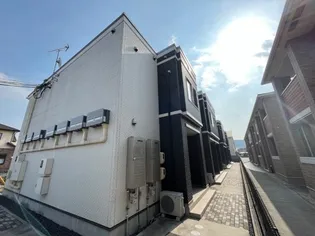 ドルチェの画像