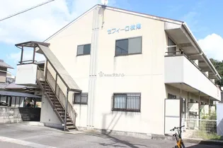 セフィーロ横尾の画像