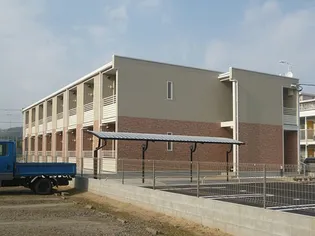 レオネクスト山茶花の画像