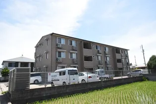 パティーナの画像