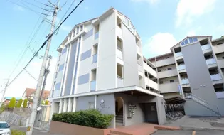 カレッジシティハイツ【2階】の外観