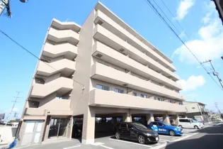岡山県岡山市南区大福【マンション】の外観