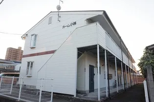 カーム小林の画像