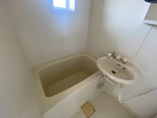 アドナイ・イルエ【206号室】の風呂