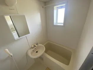 アドナイ・イルエ【207号室】の風呂