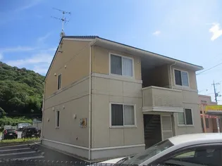 カラバッシュの画像