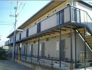 ライムの画像