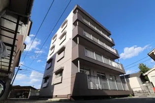 プリマヴェーラの画像