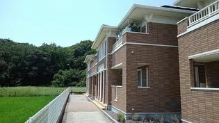 モーダフィオーレBの画像