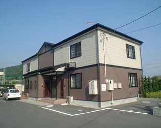 サンフラワー Bの画像