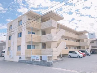 ドメスティックカーサの画像