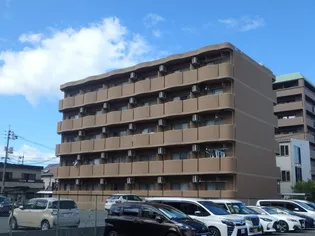 マリベールの画像