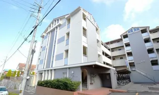 カレッジシティハイツ【1階】の外観