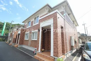 コーモドサンゴAの画像