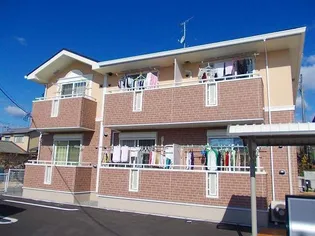 アイリスの画像