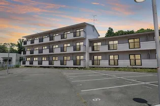 Alively久松台【302号室】の外観