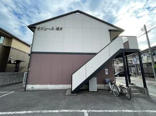 セジュール福井【1階】の外観