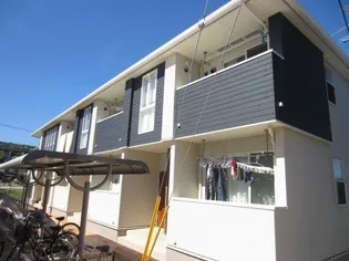 シーネックBの画像