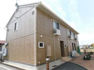 プリムローズ ベルCの画像