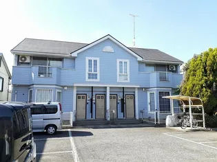 ゴールドクレスト藤井の画像