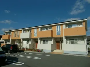 アイリスの画像