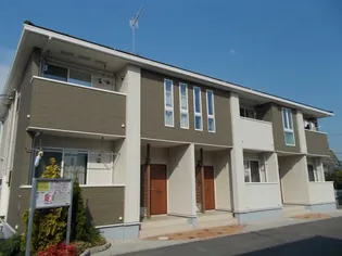 セレッソAの画像