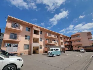 フォルトゥーナ新北【206号室】の外観