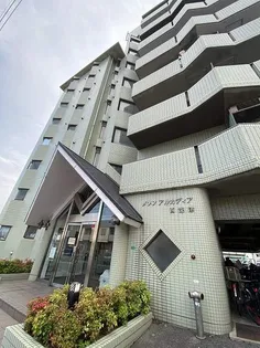 メゾンアルカディア西深津【402号室】の外観