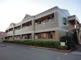 エルトハイムS【1階】の外観