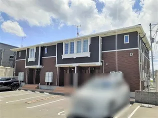 サンパラソルDの画像