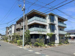 シャエムの画像