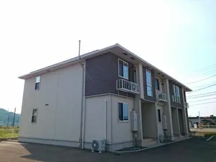 秋桜ミディⅡの画像