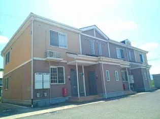 セントポーリア くすみ Bの画像