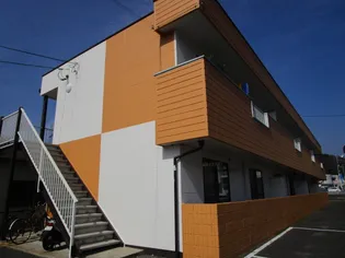 パンプキンの画像