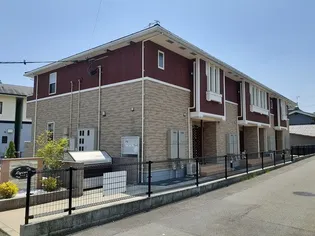 リコリスの画像