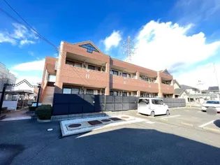 サン ブライト フューチャーの画像