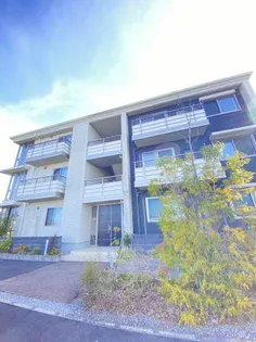 グランベレオ橘の画像