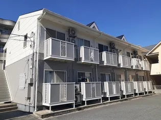 サンフラワー青江の画像