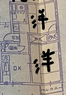 メゾン大池【101号室】の間取り
