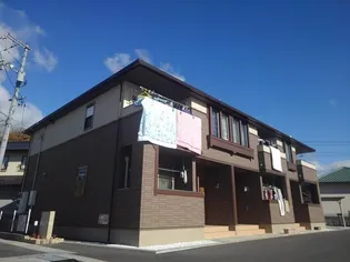 サンフラワーBの画像