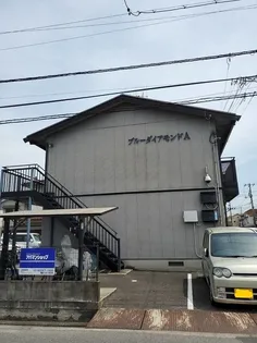 ブルーダイアモンドAの画像