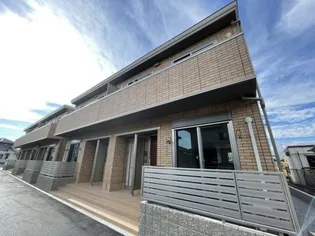 ラグドールAの画像