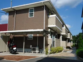 アイリスの画像