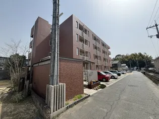 スカイコート IIの画像