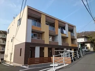 ショコラ オリーブの画像