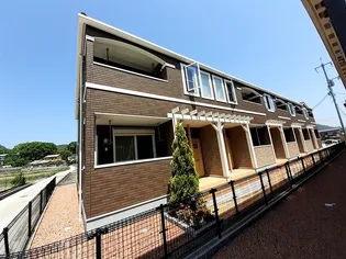 カープIIの画像